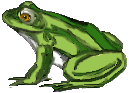 grenouille